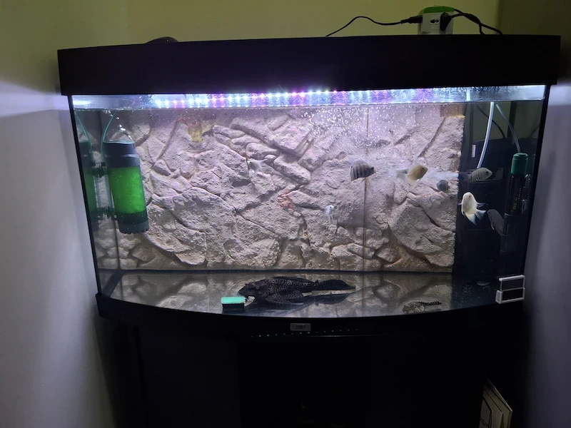 Juwel Fish Tank & Stand with Accessories